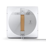 陕西大荔金太阳杏产地直批｜金黄爆汁 早熟上市-缩略图5