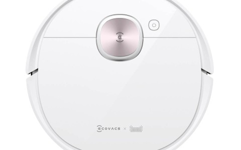 大荔冬枣：脆甜多汁的百果之王，陕西地理标志好枣