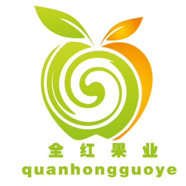 中国冬枣第一县 大荔冬枣产地直供批发